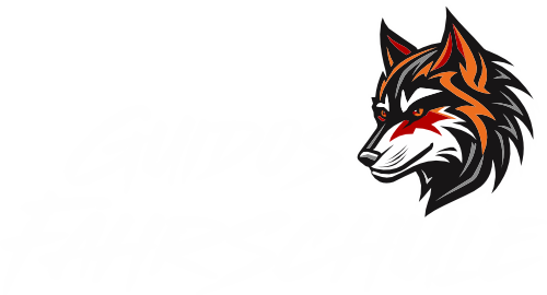 www.GuidosFahrschule.com